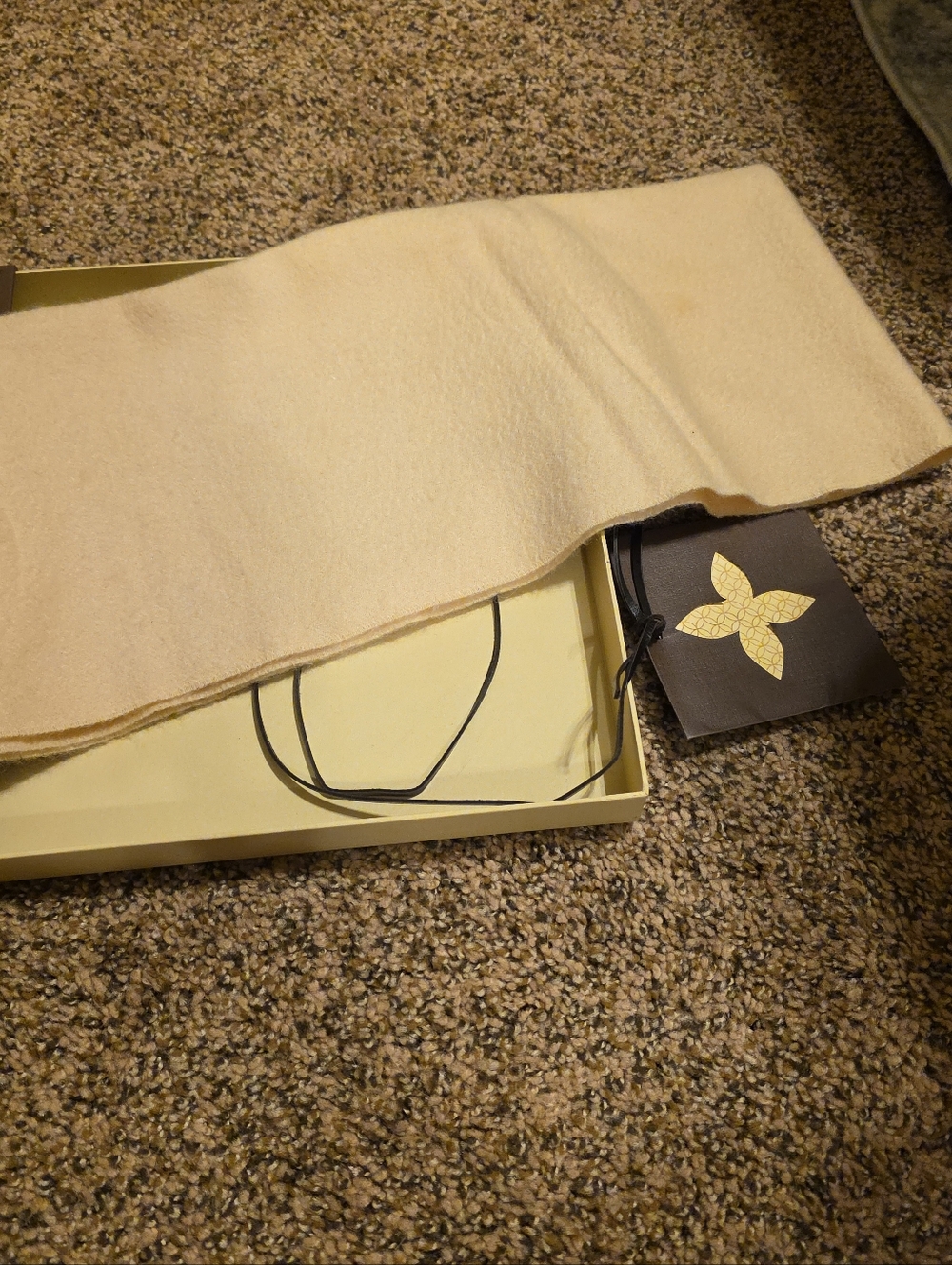 Louis Vuitton Cashmere Scarf / EUC - Picture 3 of 4